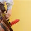 Handyman repair service in Pembroke Pines, FL for home fixes and improvements