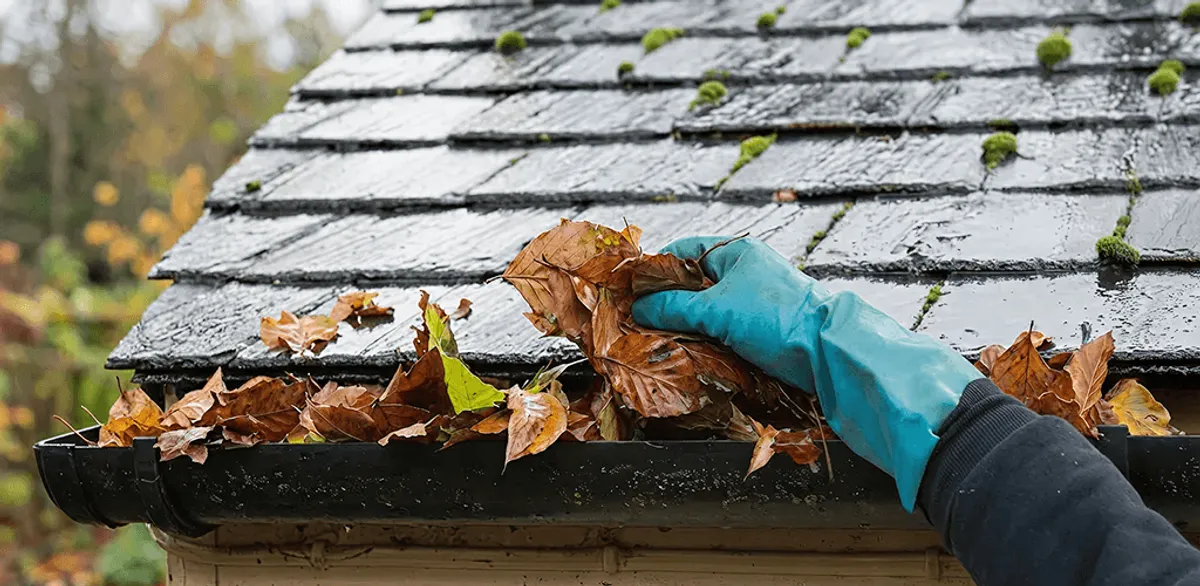 Gutter cleaning technician clearing wet leaves from roof gutters in Pembroke Pines, FL