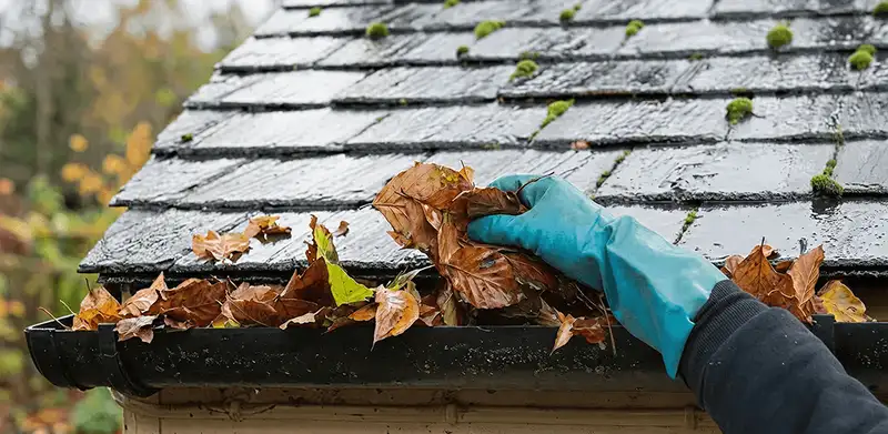 Gutter cleaning technician clearing wet leaves from roof gutters in Pembroke Pines, FL
